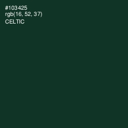 #103425 - Celtic Color Image