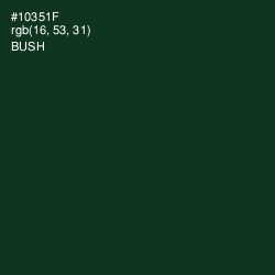 #10351F - Bush Color Image