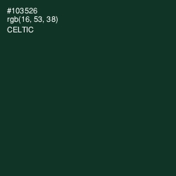 #103526 - Celtic Color Image