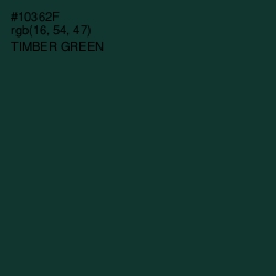 #10362F - Timber Green Color Image