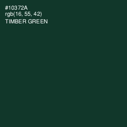 #10372A - Timber Green Color Image