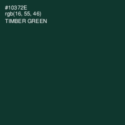 #10372E - Timber Green Color Image