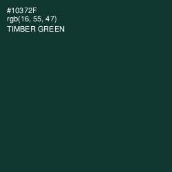 #10372F - Timber Green Color Image