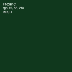 #10381C - Bush Color Image