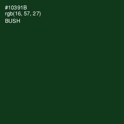 #10391B - Bush Color Image