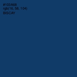 #103A68 - Biscay Color Image