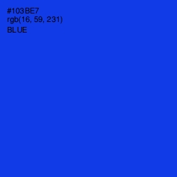 #103BE7 - Blue Color Image