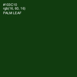 #103C10 - Palm Leaf Color Image