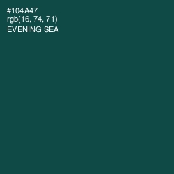 #104A47 - Evening Sea Color Image