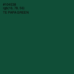 #104E38 - Te Papa Green Color Image