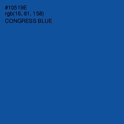 #10519E - Congress Blue Color Image