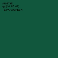 #10573E - Te Papa Green Color Image