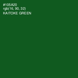 #105A20 - Kaitoke Green Color Image