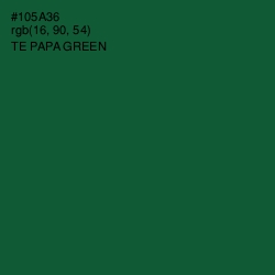 #105A36 - Te Papa Green Color Image