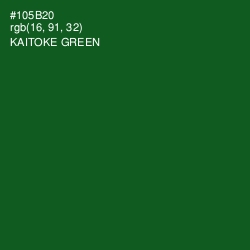 #105B20 - Kaitoke Green Color Image