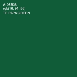 #105B38 - Te Papa Green Color Image