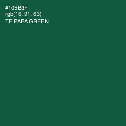 #105B3F - Te Papa Green Color Image