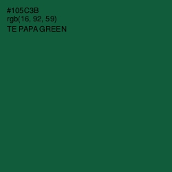 #105C3B - Te Papa Green Color Image