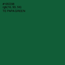 #105D38 - Te Papa Green Color Image