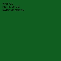 #105F20 - Kaitoke Green Color Image