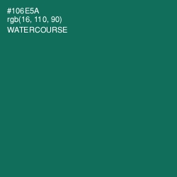 #106E5A - Watercourse Color Image