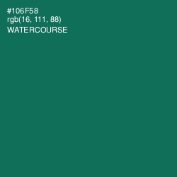 #106F58 - Watercourse Color Image