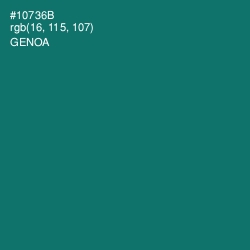 #10736B - Genoa Color Image
