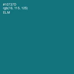 #10737D - Elm Color Image