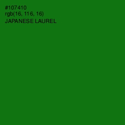 #107410 - Japanese Laurel Color Image