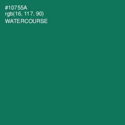 #10755A - Watercourse Color Image