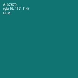 #107572 - Elm Color Image