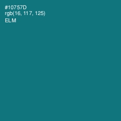 #10757D - Elm Color Image