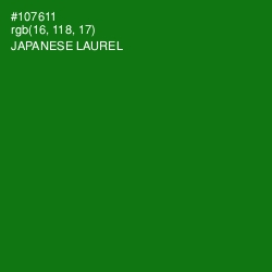 #107611 - Japanese Laurel Color Image