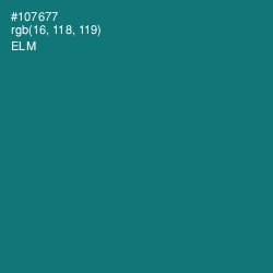 #107677 - Elm Color Image