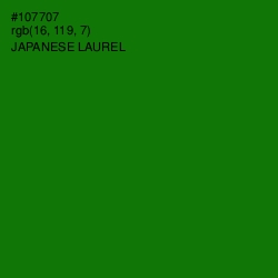 #107707 - Japanese Laurel Color Image