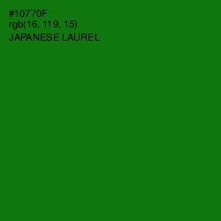 #10770F - Japanese Laurel Color Image