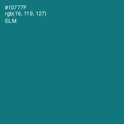 #10777F - Elm Color Image