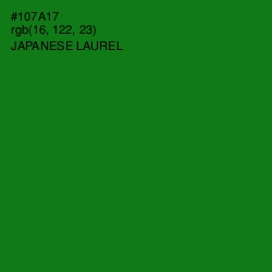 #107A17 - Japanese Laurel Color Image