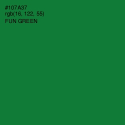 #107A37 - Fun Green Color Image