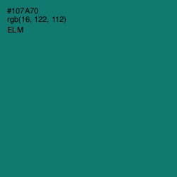 #107A70 - Elm Color Image