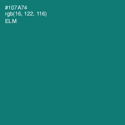 #107A74 - Elm Color Image