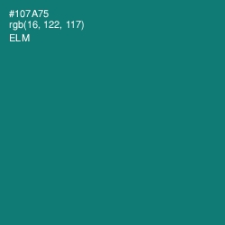 #107A75 - Elm Color Image