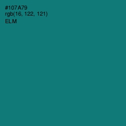 #107A79 - Elm Color Image