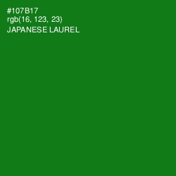 #107B17 - Japanese Laurel Color Image