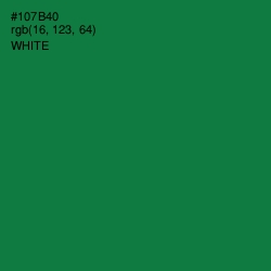 #107B40 - Salem Color Image