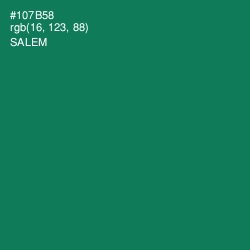 #107B58 - Salem Color Image