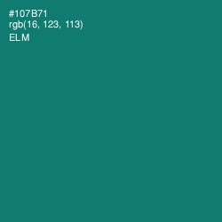 #107B71 - Elm Color Image