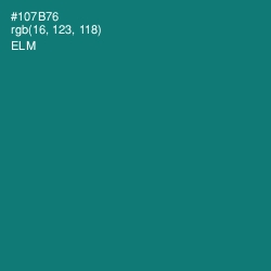 #107B76 - Elm Color Image