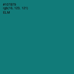 #107B79 - Elm Color Image