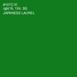 #107C1E - Japanese Laurel Color Image